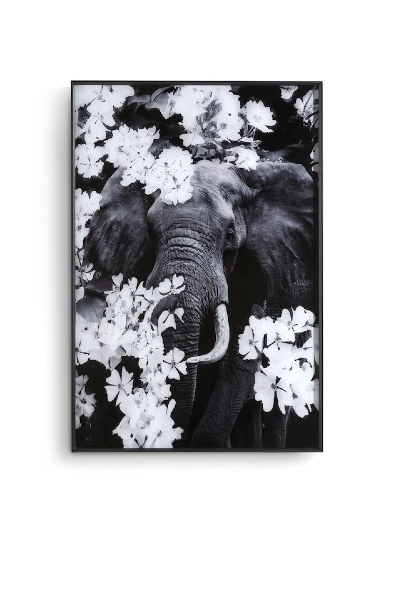 Coco Maison Fotoschilderij Flower Elephant 100x68cm Zwart