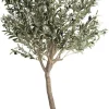 Coco Maison Kunstplant Olive Tree 180cm Groen