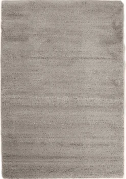 DÉJA Vloerkleed Biren 160x230cm Grijs