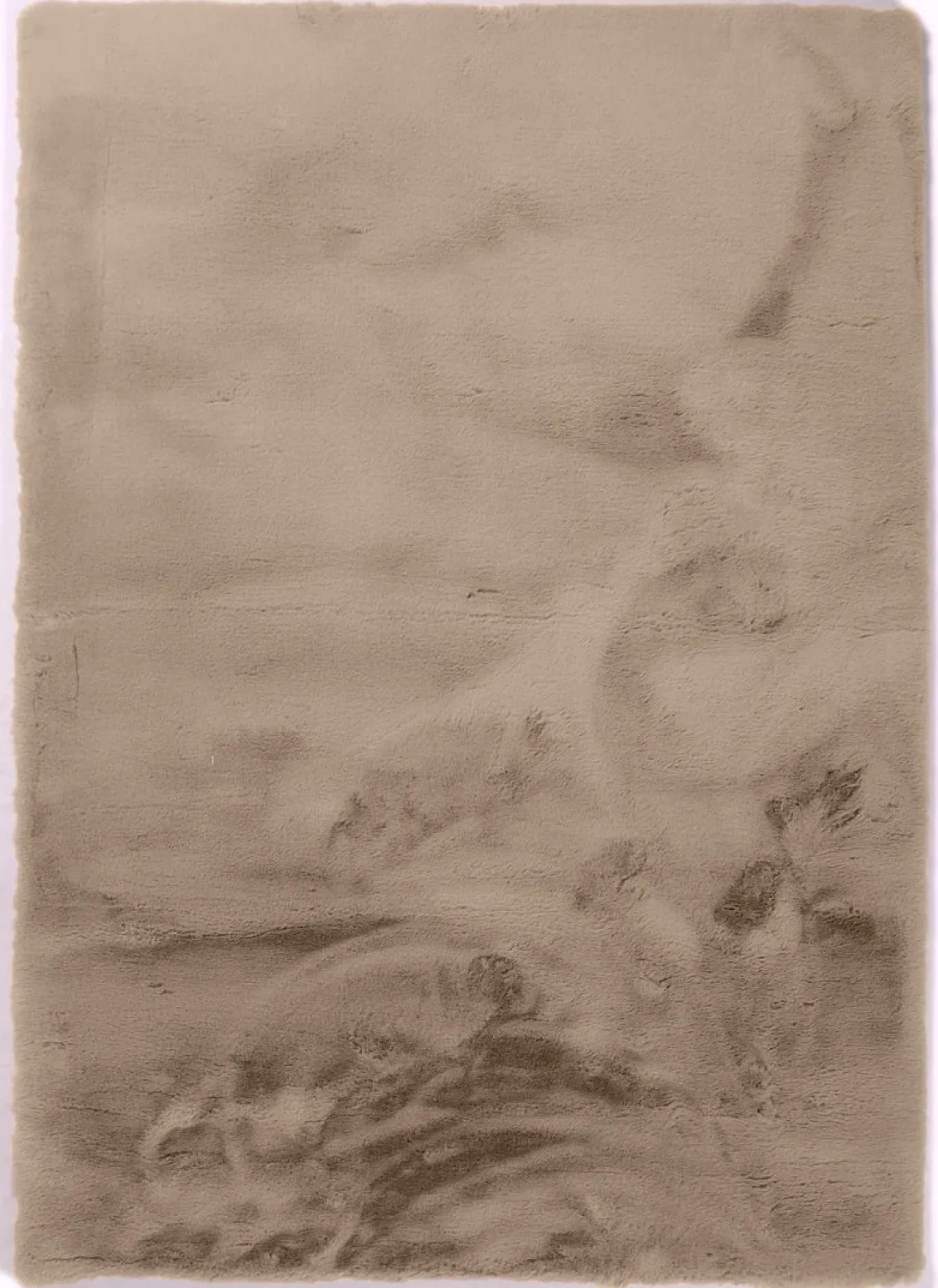DÉJA Vloerkleed Garen 290x200cm Taupe