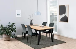 Eetkamerstoel Grondal Donkergrijs Dublin - Giga Living