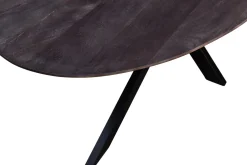 Eettafel Ziggy Bruin Ovaal 200cm Spinpoot - Giga Meubel