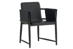 Fjôrd Fauteuil Bjäre Zwart
