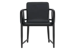 Fjôrd Fauteuil Bjäre Zwart