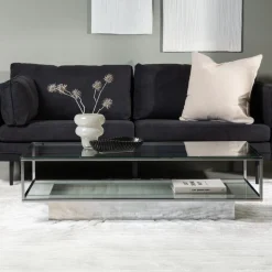 Fjôrd Salontafel Maglehem Zilver Chrome Helder Glas