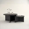 Fjôrd Salontafel Set Saltö Zwart MDF