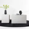 Fjôrd Salontafel Set York Hoog Whitewash MDF