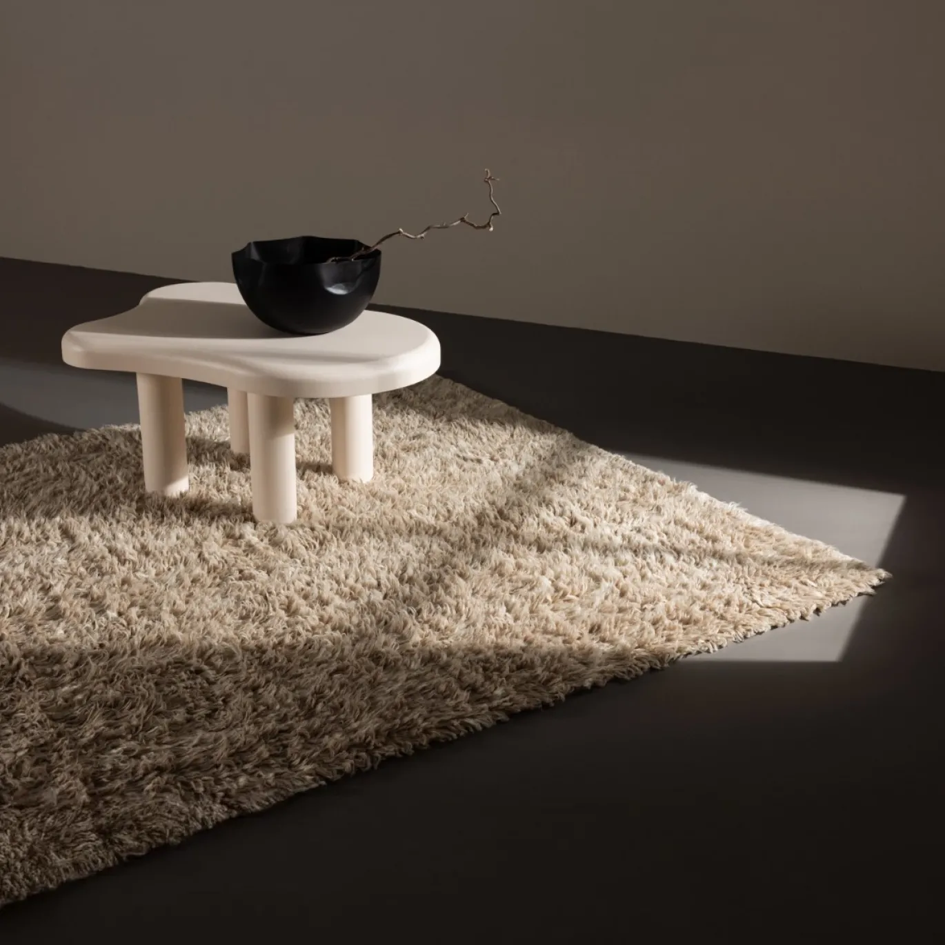 Fjôrd Vloerkleed Leiko 200x300cm Beige