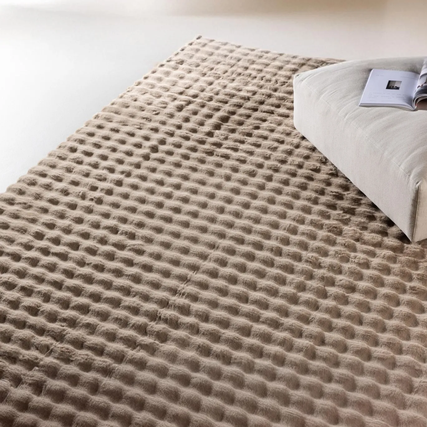 Fjôrd Vloerkleed Novis Polyester 200x290cm Beige