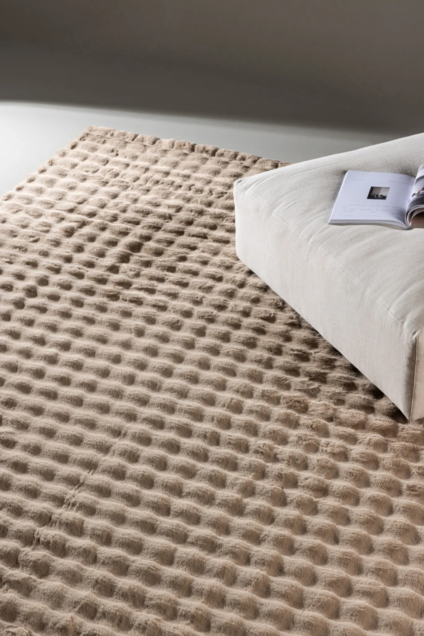 Fjôrd Vloerkleed Novis Polyester 200x290cm Beige
