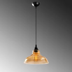 Hanglamp Dilberay Zwart Ø28cm