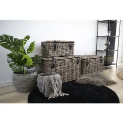 House Nordic Opbergkoffers Depok Set van 3