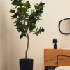 Kave Home Kunstboom Ficus Zwart Pot 210cm