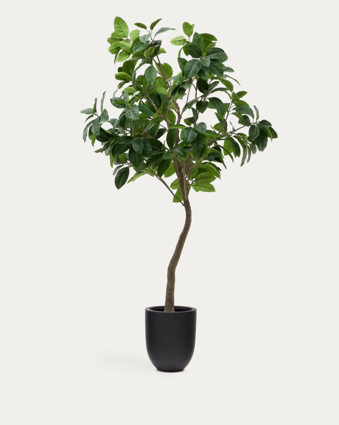 Kave Home Kunstboom Ficus Zwart Pot 210cm