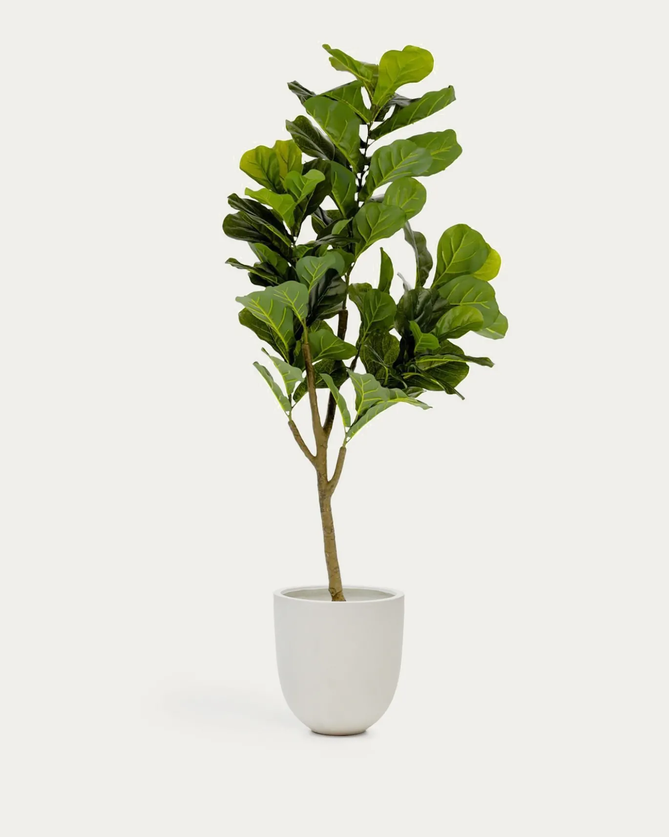 Kave Home Kunstplant Ficus 150cm