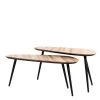 Light & Living Salontafel Viejo Set van 2 Mangohout Naturel