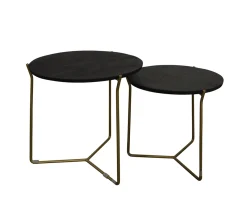 Livingfurn Bijzettafel Mason Zwart/Goud Set van 2