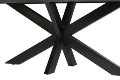 Livingfurn Boomstamtafel Norris Spider Mangohout Zwart 240cm
