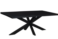 Livingfurn Eettafel Kala Spinpoot 180 cm