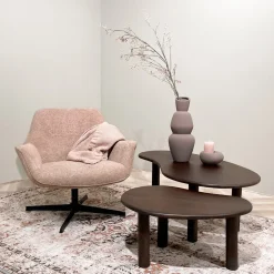 Livingfurn Salontafel Nubi Organisch Mangohout Bruin Set van 2