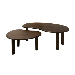 Livingfurn Salontafel Nubi Organisch Mangohout Bruin Set van 2