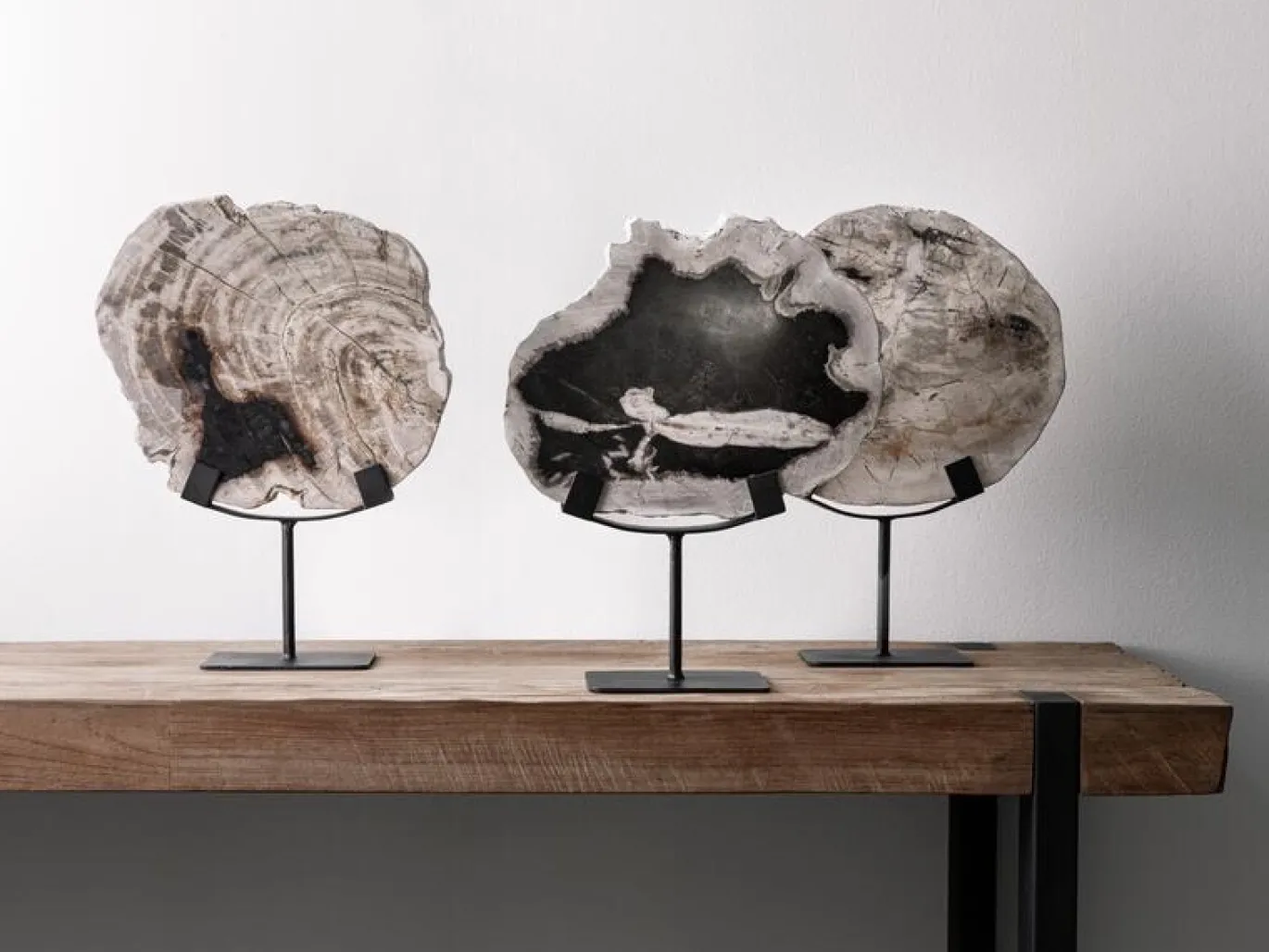 Must Living Deco Object Fossil Versteend Hout 33cm