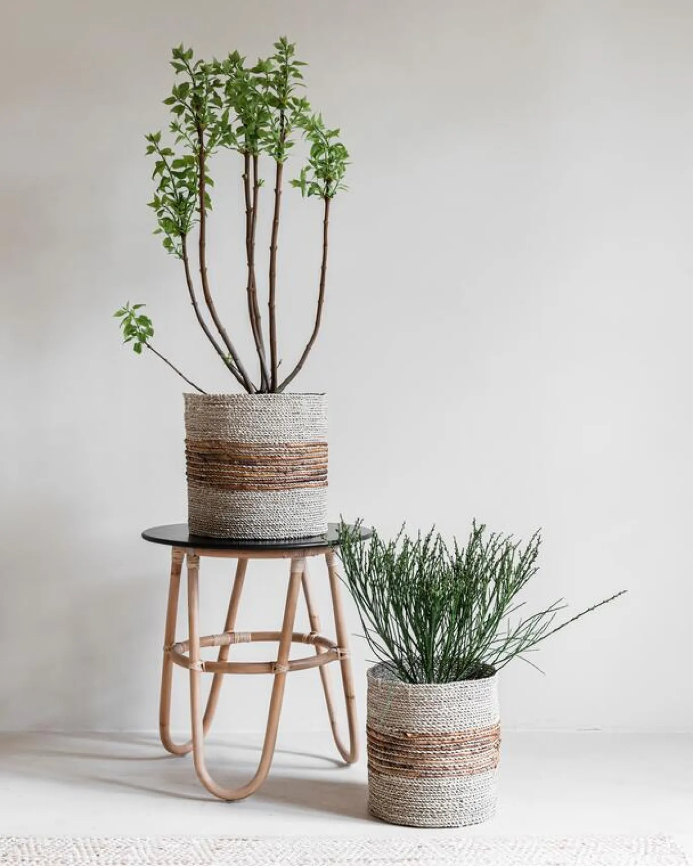 Must Living Manden Carvoeiro Groot Set Van 2