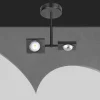 Plafondlamp Jake 2-Lichts Zwart - Giga Meubel