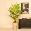 PrettyPlants Kentia Kunstpalm 150cm