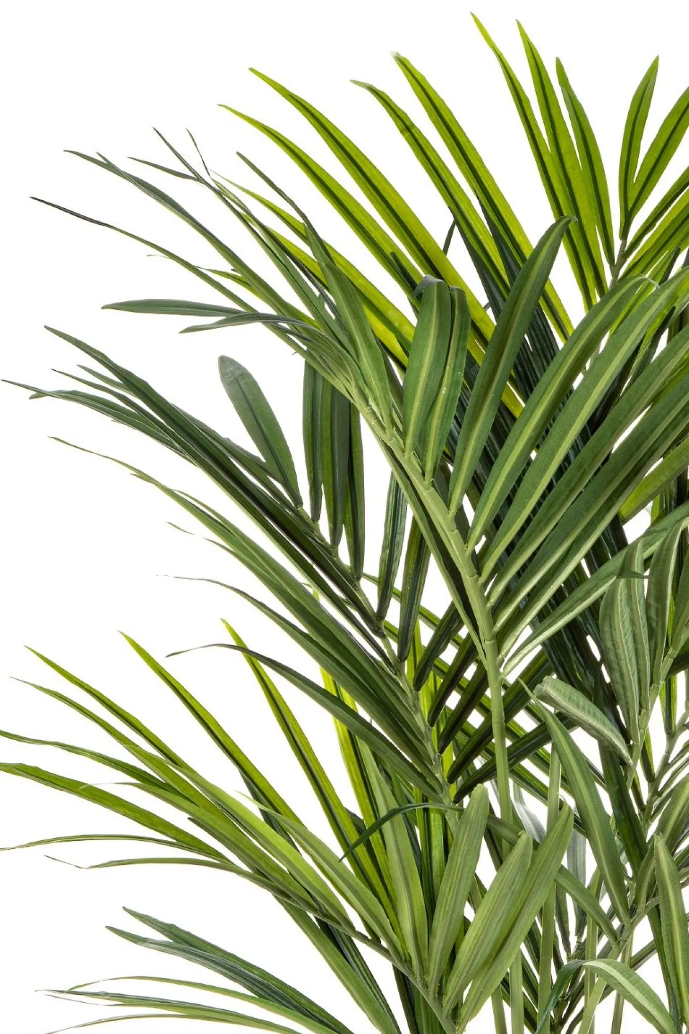 PrettyPlants Kentia Kunstpalm 150cm