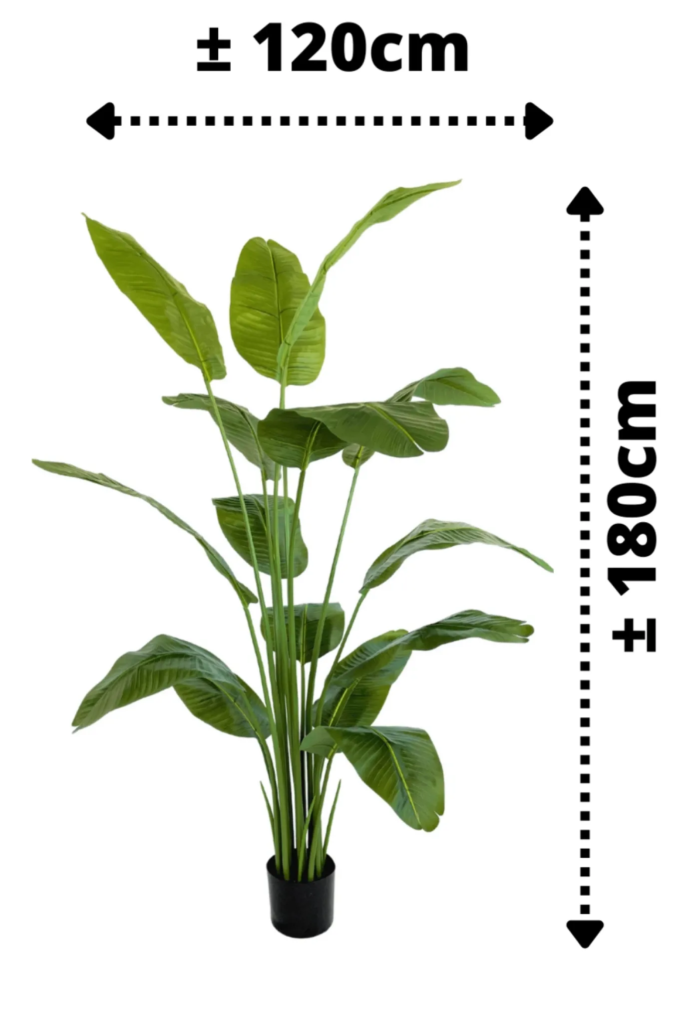 PrettyPlants Kunst Bananenplant Mowgli 180cm