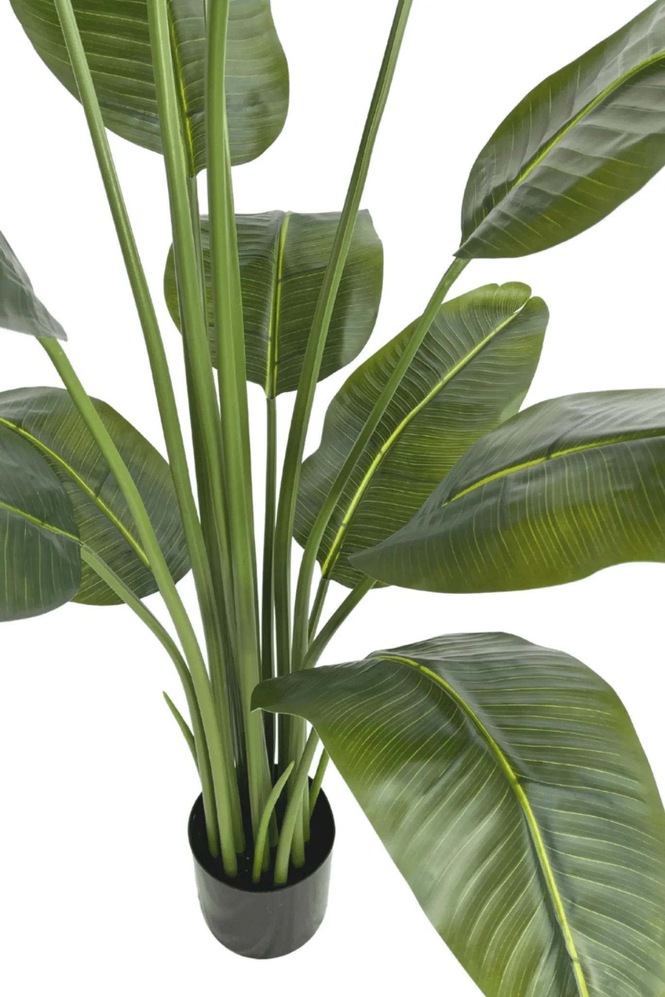 PrettyPlants Kunst Bananenplant Mowgli 180cm