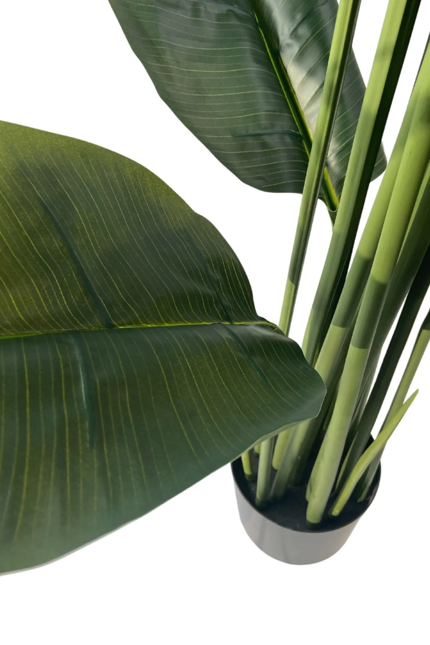 PrettyPlants Kunst Bananenplant Mowgli 180cm