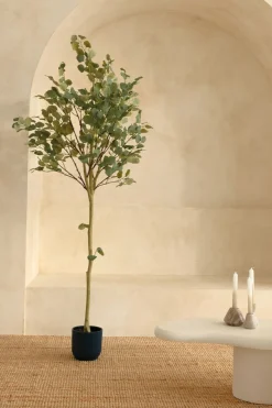 PrettyPlants Kunstboom Eucalyptus 180cm