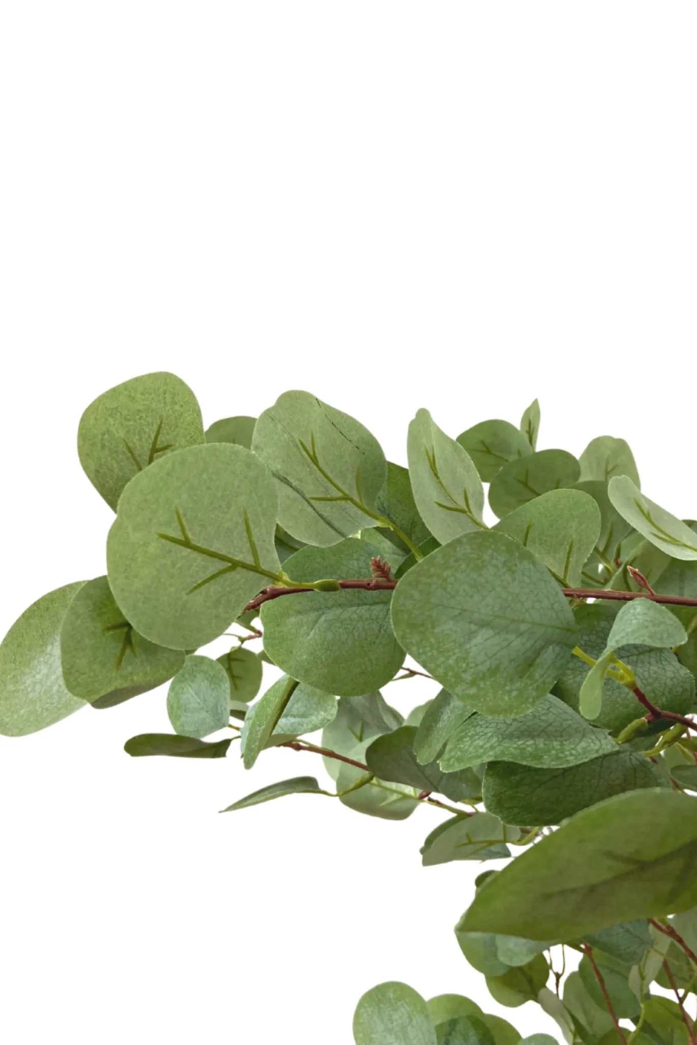 PrettyPlants Kunstboom Eucalyptus 180cm