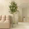 PrettyPlants Kunst Olijfboom Ernie 180cm