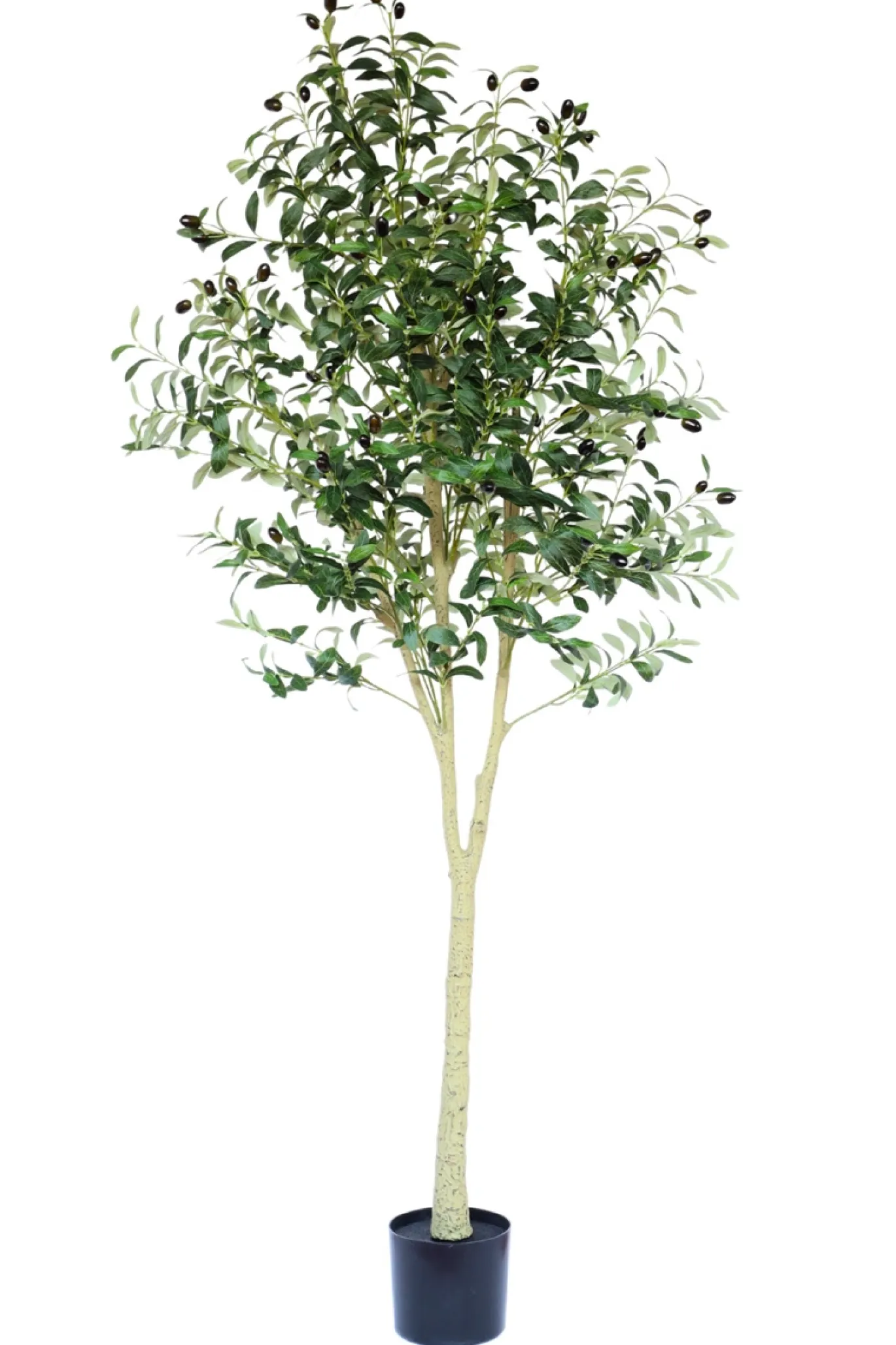 PrettyPlants Kunst Olijfboom Ernie 180cm