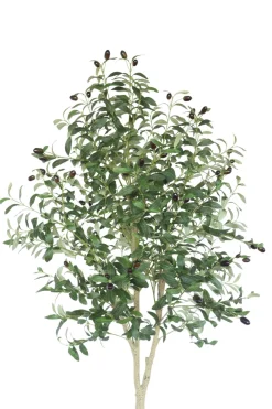 PrettyPlants Kunst Olijfboom Ernie 180cm