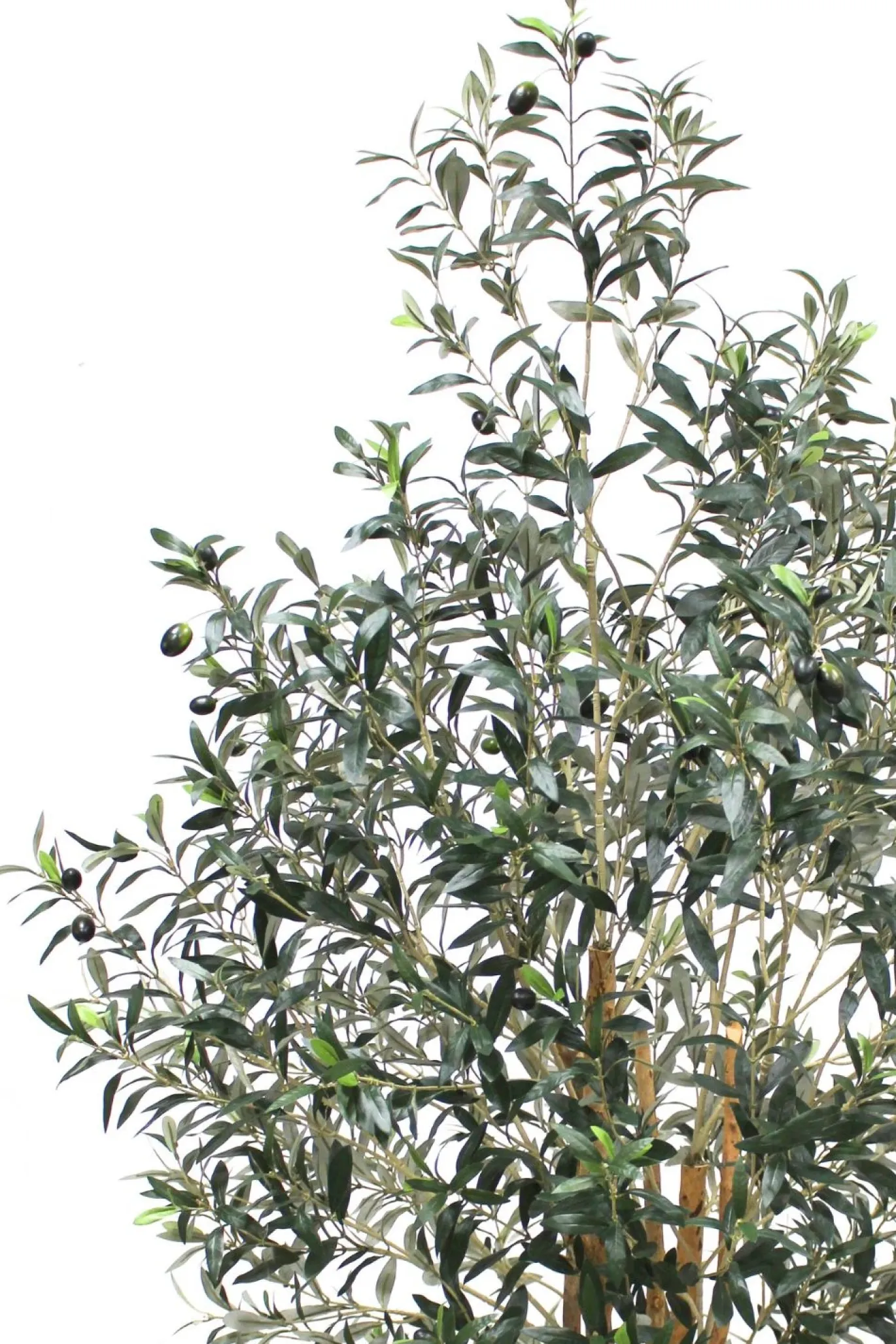 PrettyPlants Kunst Olijfboom Elmo 180cm