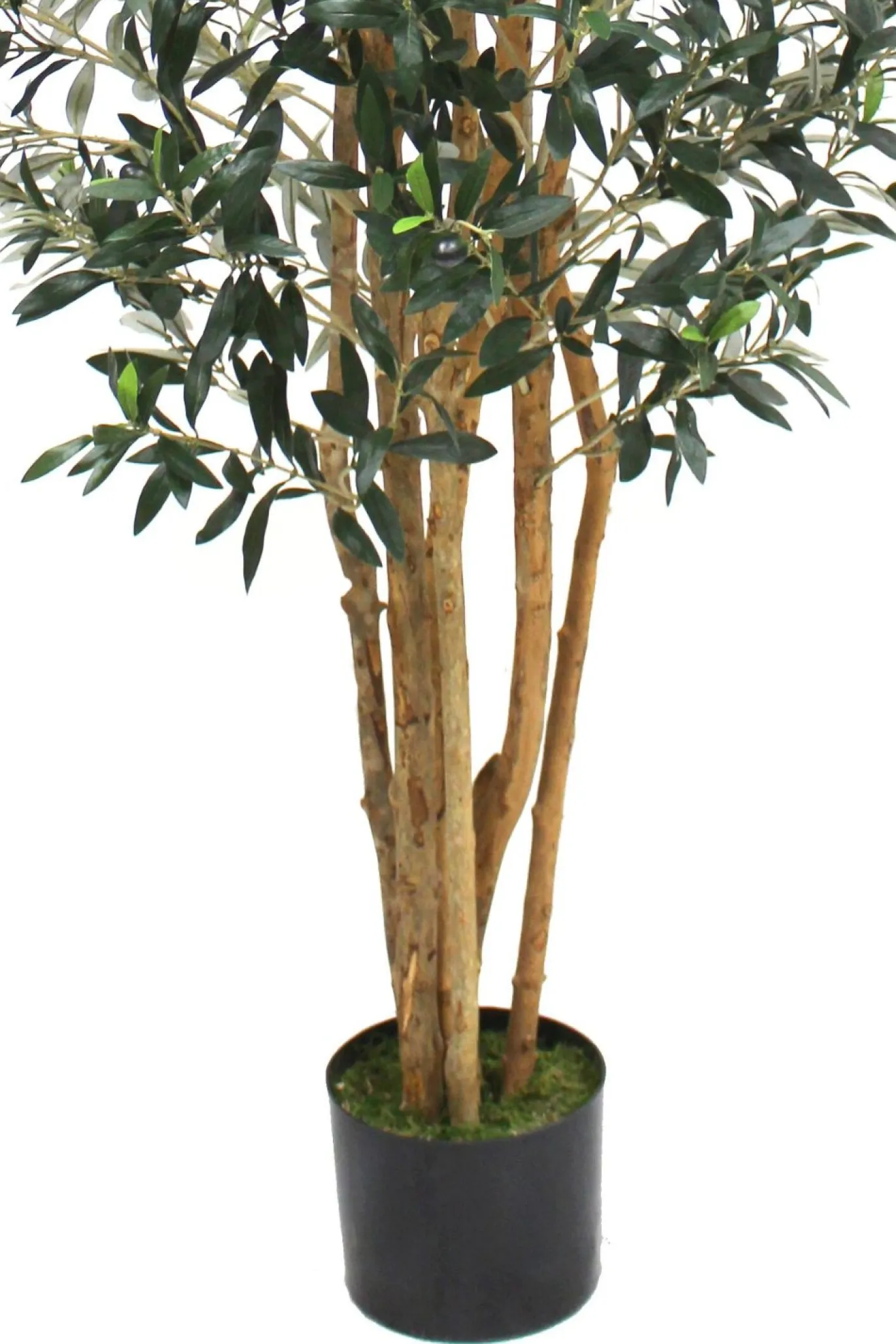 PrettyPlants Kunst Olijfboom Elmo 180cm