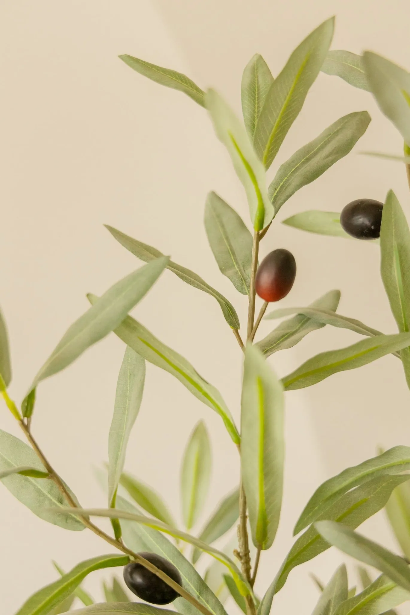 PrettyPlants Kunst Olijfboom Tommie 180cm