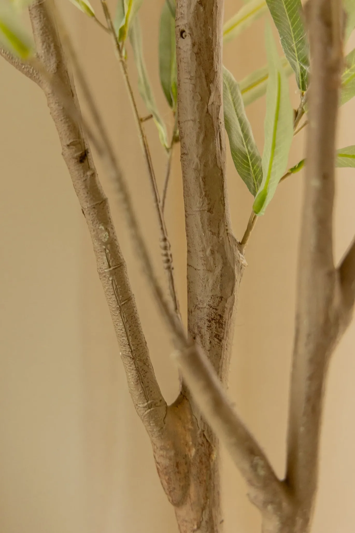 PrettyPlants Kunst Olijfboom Tommie 180cm