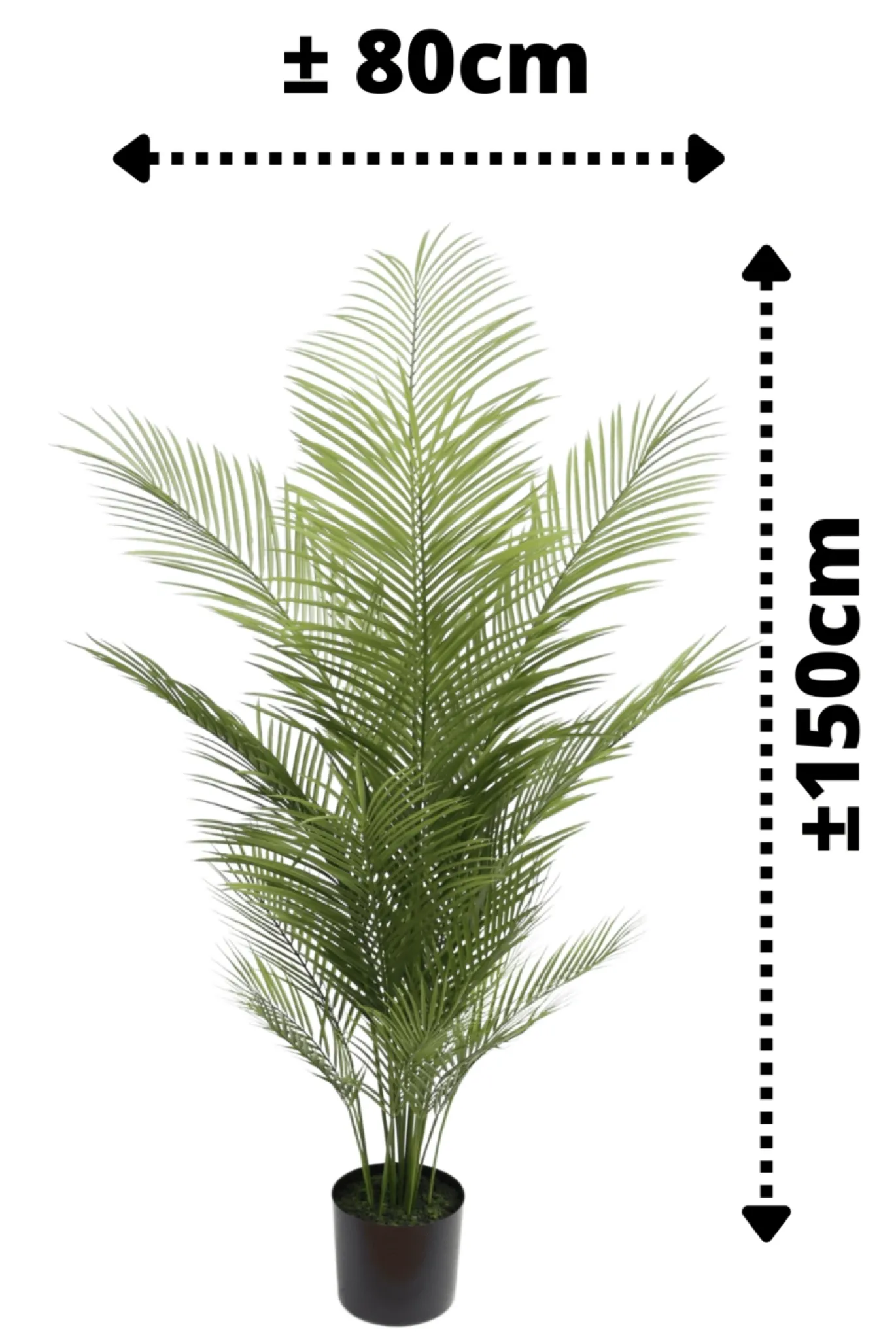 PrettyPlants Kunstpalm Jerom 150cm