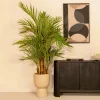 PrettyPlants Kunstpalm Lambik 180cm