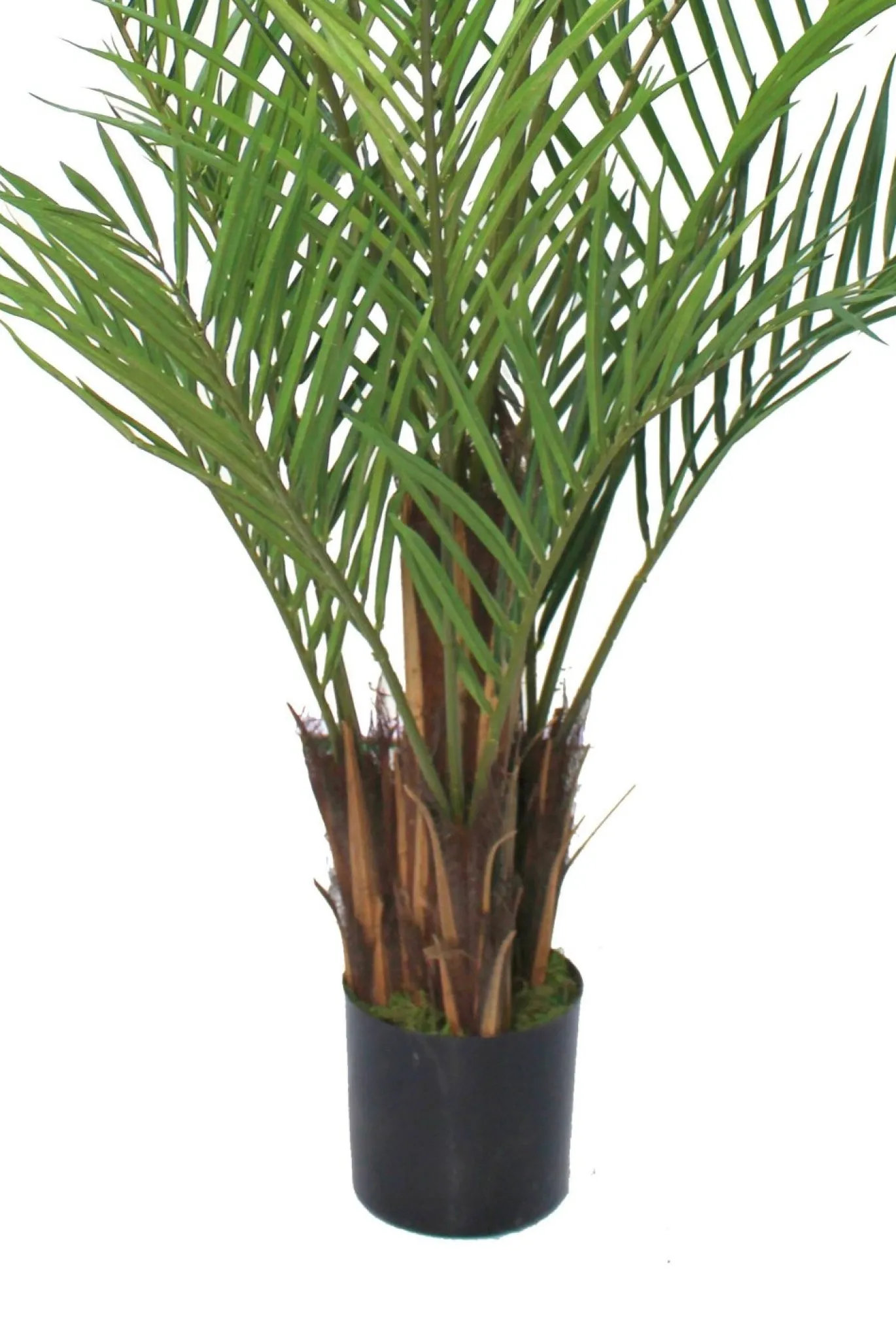 PrettyPlants Kunstpalm Lambik 180cm