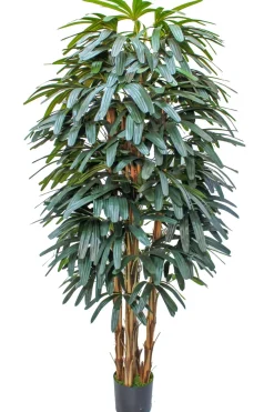 PrettyPlants Kunstpalm Raphis 180cm