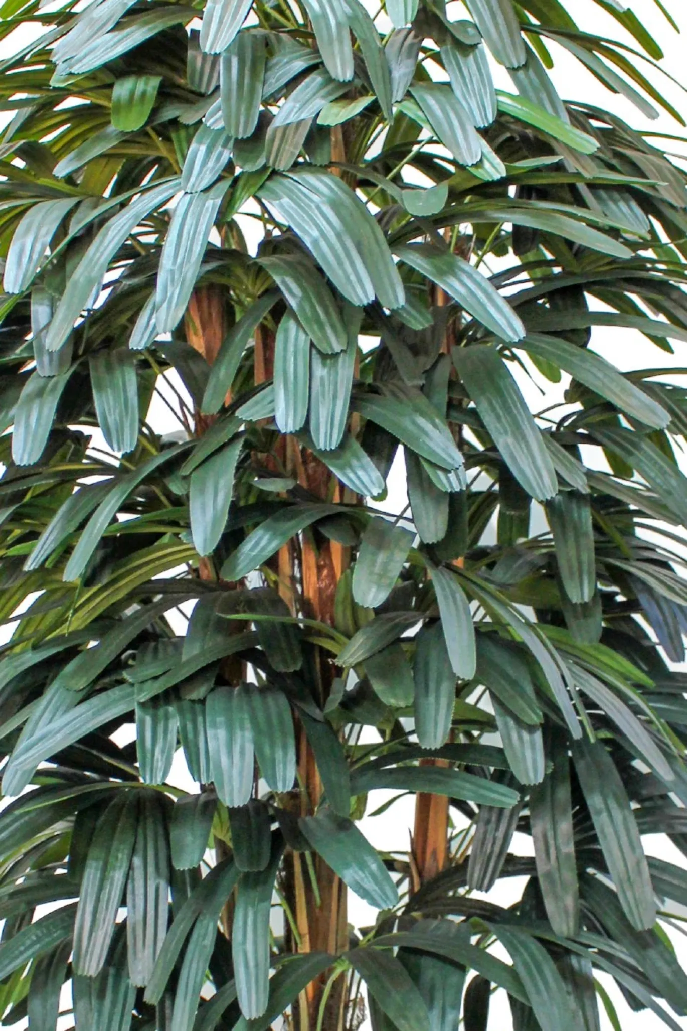 PrettyPlants Kunstpalm Raphis 180cm