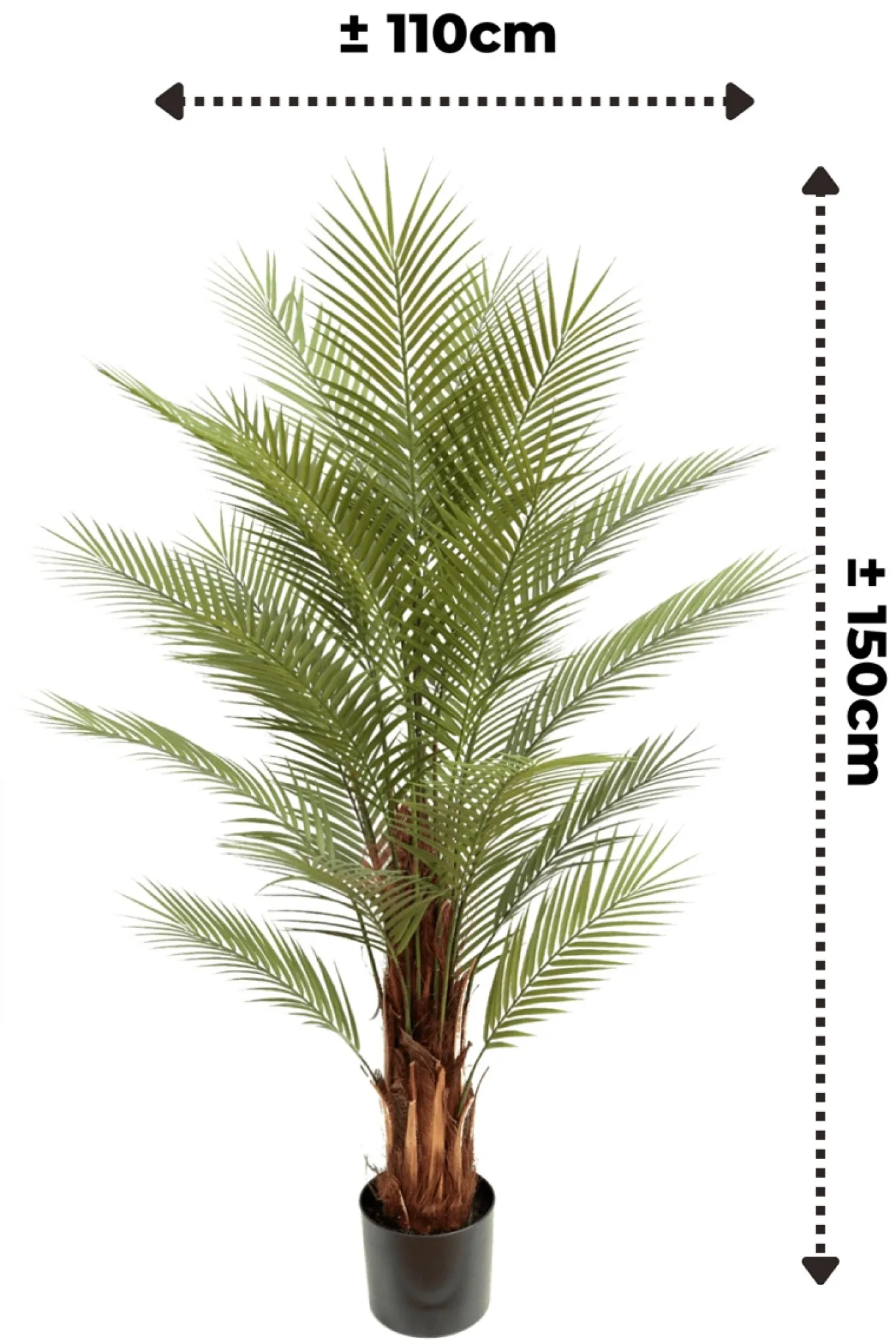 PrettyPlants Kunstpalm Suske 150cm
