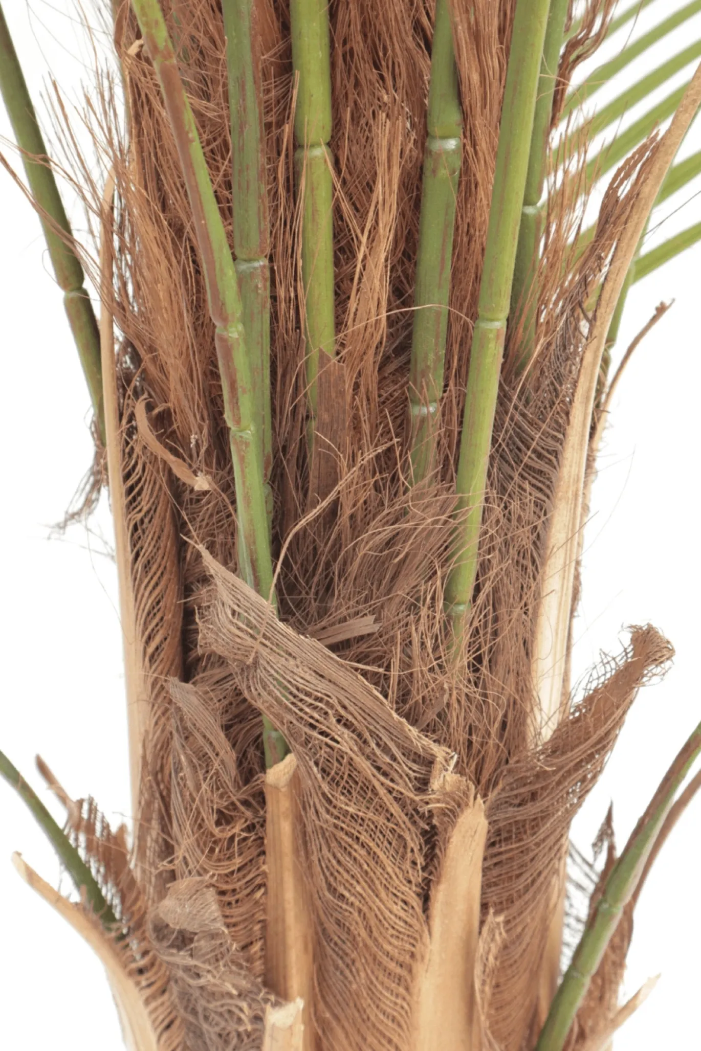 PrettyPlants Kunstpalm Suske 150cm