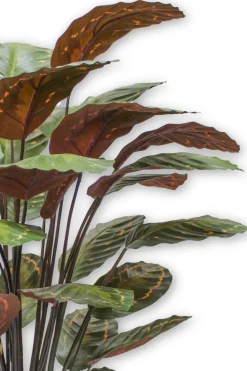 PrettyPlants Kunstplant Calathea 90cm